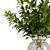 Elegant Olive Stem Bouquet 3D model small image 3