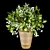 Bouquet of Flowers - Collection Plant Vol 262 3D model small image 2