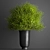 Greenery Elegance Bouquet 3D model small image 1