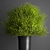 Greenery Elegance Bouquet 3D model small image 2