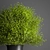 Greenery Elegance Bouquet 3D model small image 3