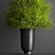 Greenery Elegance Bouquet 3D model small image 4