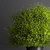 Greenery Elegance Bouquet 3D model small image 5