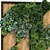 Vertical Greenery Set: Ultimate 3D Plant Collection 3D model small image 5