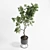 150 Plant Tree Metal Vase: Indoor Elegance 3D model small image 2