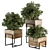 315 Indoor Plant Set: Wood Box 3D model small image 1