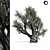 Majestic Olive Tree 01 3D model small image 1