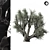 Majestic Olive Tree 01 3D model small image 2