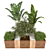 Tropical Plant Collection: Banana, Monstera & More 3D model small image 2