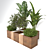 Tropical Plant Collection: Banana, Monstera & More 3D model small image 4