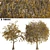 Diverse Tree Collection Vol. 01 3D model small image 1