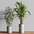 Modern Indoor Set of 16 Plants 3D model small image 4