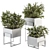 Elegant Greenery: Plant Set in White Box 3D model small image 1
