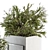 Elegant Greenery: Plant Set in White Box 3D model small image 2