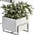 Elegant Greenery: Plant Set in White Box 3D model small image 3