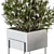 Elegant Greenery: Plant Set in White Box 3D model small image 4