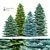 Evergreen Spruce Tree Set 3D model small image 1