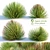 Hedgehog Agave: Four Striking Plants 3D model small image 1