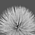 Hedgehog Agave: Four Striking Plants 3D model small image 3