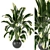 Lush Indoor Plants Set 126 3D model small image 1