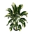 Lush Indoor Plants Set 126 3D model small image 4