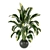 Lush Indoor Plants Set 126 3D model small image 5