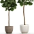 Tropical Ficus Lyrata Tree Pot 3D model small image 4