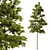 Europine Collection: Tall & Detailed 3D model small image 2
