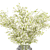 Ethereal Gypsophila Stems Bouquet 3D model small image 3