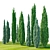 Evergreen Juniper Tree Quartet 3D model small image 2