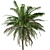 Colombian Quindio Wax Palm Set 3D model small image 2