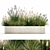 Tropical Plant Collection: Exotic Ornamental Grasses 3D model small image 1