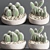 Sleek Cactus Sculpture 3D model small image 1