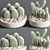 Sleek Cactus Sculpture 3D model small image 7
