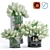 Elegant Tulip Bouquet Set in Glass Vases 3D model small image 1