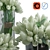Elegant Tulip Bouquet Set in Glass Vases 3D model small image 3