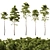 European Pines Collection: Majestic and Rare 3D model small image 1