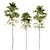 European Pines Collection: Majestic and Rare 3D model small image 3