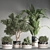 Green Oasis: Indoor Plant Set 3D model small image 4