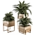 318 Indoor Plant Set in Wooden Box 3D model small image 1