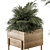 318 Indoor Plant Set in Wooden Box 3D model small image 3
