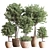 Indoor Greenery Deluxe Set 3D model small image 1