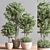 Indoor Greenery Deluxe Set 3D model small image 2