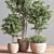 Indoor Greenery Deluxe Set 3D model small image 4