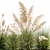 Exotic Plant Assortment: Indoor & Outdoor Ornamentals 3D model small image 5