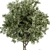 308 Indoor Plant Set: Tree & Plant in Black Pot 3D model small image 4