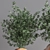 Olive Indoor Plant Set 08: Stunning 3D Models 3D model small image 5