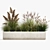 Exotic Greenery: Plants for Indoor/Outdoor Decoration 3D model small image 5