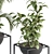 Sleek Greenery: Indoor Plant Set 3D model small image 2