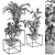 Sleek Greenery: Indoor Plant Set 3D model small image 5
